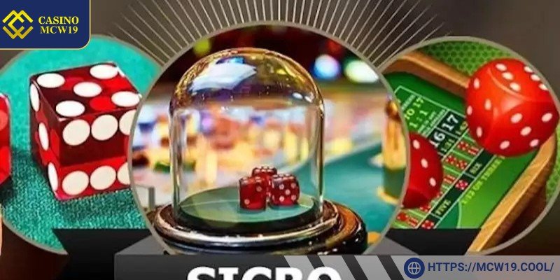 Expert Tips for Winning at Sicbo Mcw19