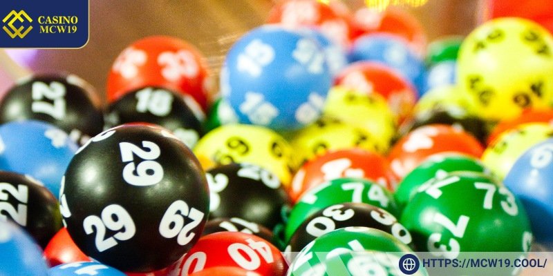 A Wide Variety of Exciting Betting Options