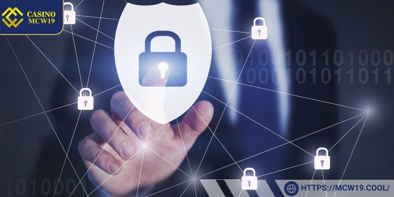 Data Collection and Usage Policy