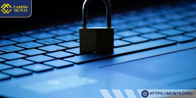 How You Can Contribute to Mcw19’s Privacy Policy