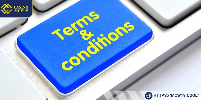 Specific Terms of the Mcw19 Betting Platform